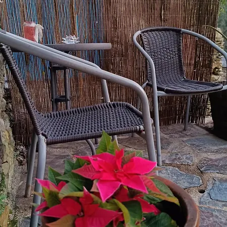 Casa Do Freire - Serra Da Estrela 펜션 *
